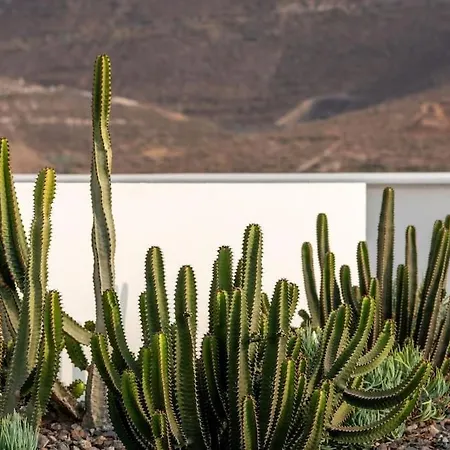 Vivelorural Agaete Great Garden Lägenhet *